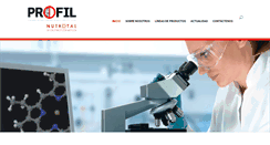 Desktop Screenshot of grupoprofil.com